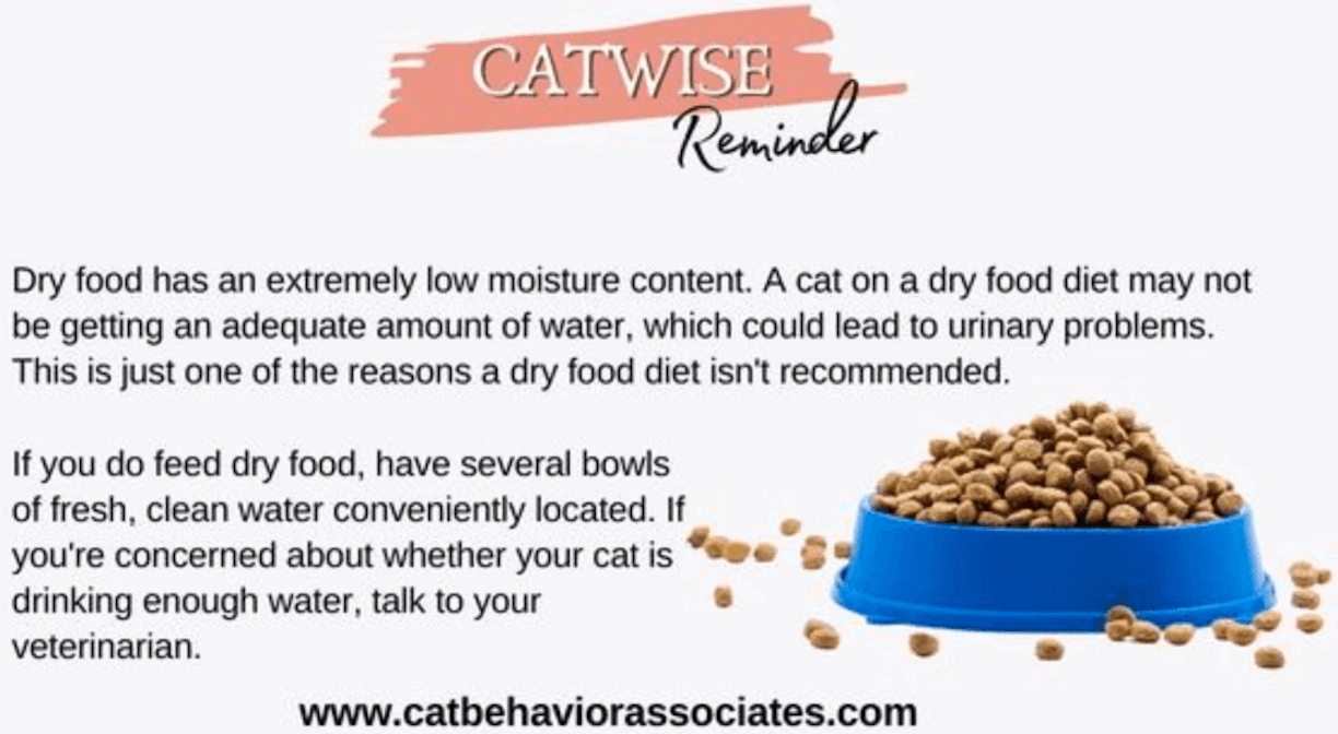Catwise Reminders
