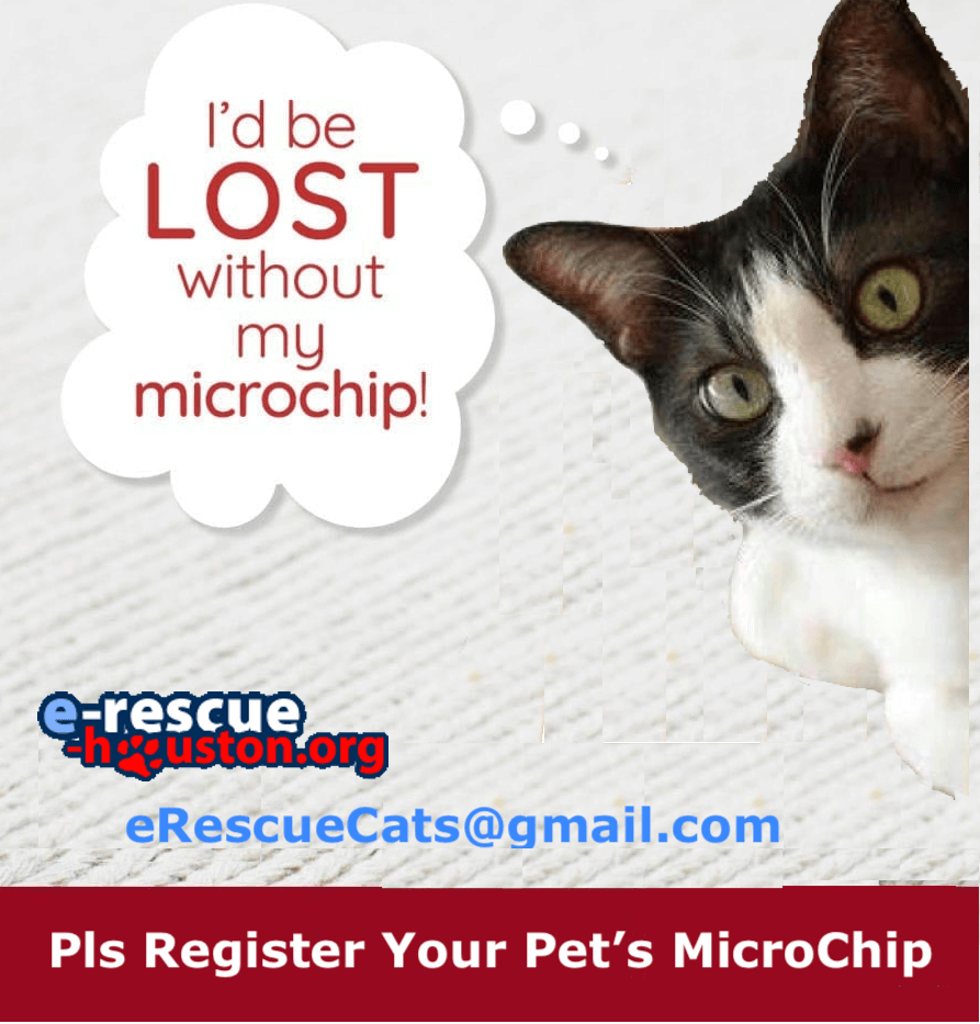 Pet Microchip