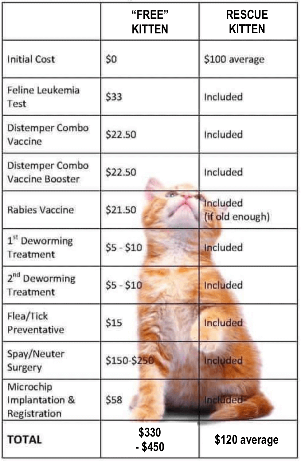 Kitten Costs