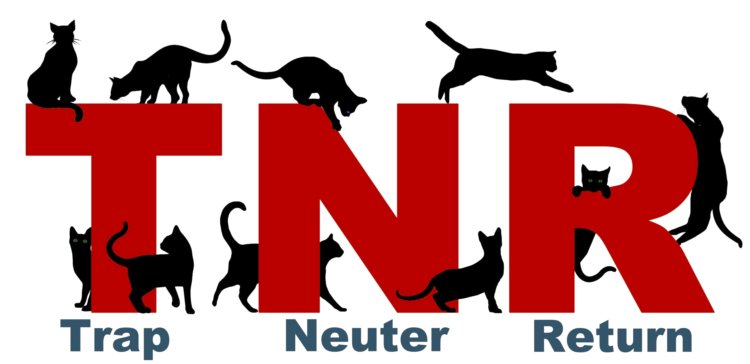 Trap Neuter Return